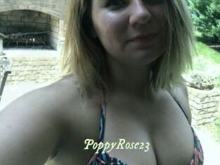PoppyRose23
