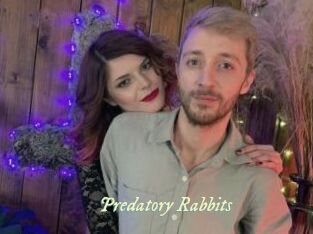 Predatory_Rabbits