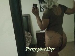 Pretty_phat_kitty
