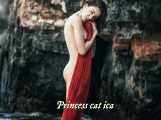 Princess_cat_ica