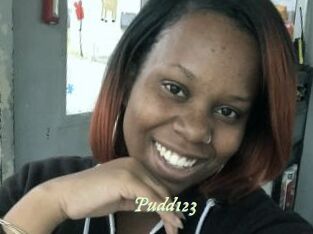 Pudd123