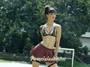 Pamelalaatinhot