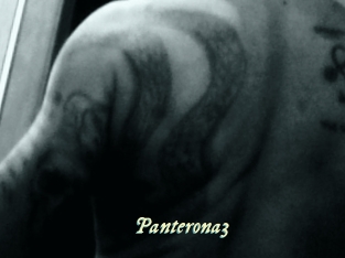 Panterona3