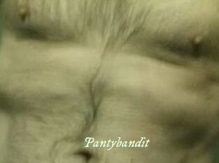 Pantybandit