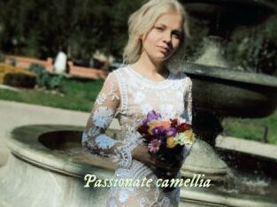 Passionate_camellia