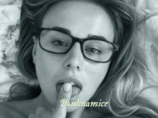 Paulinamice