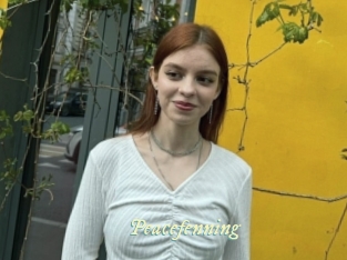 Peacefenning