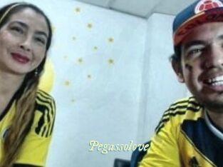 Pegasso_love