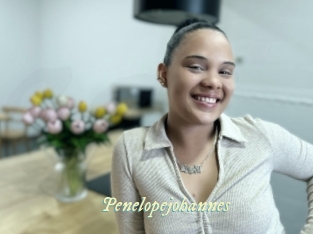 Penelopejohannes