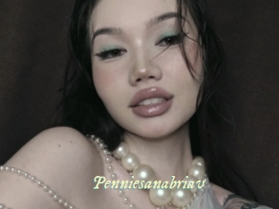 Penniesanabriav