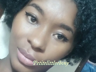 petitelittleebony Année du sexe