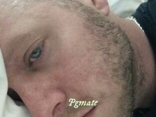 Pgmate