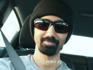 pig_benis_25 Année du sexe