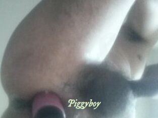Piggyboy