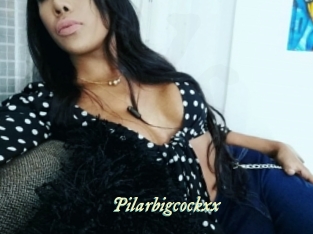pilarbigcockxx Année du sexe