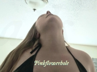 Pinkflowerhole