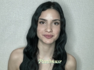 Pixelmuse