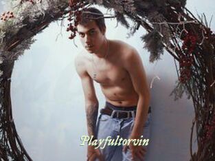 Playfultorvin