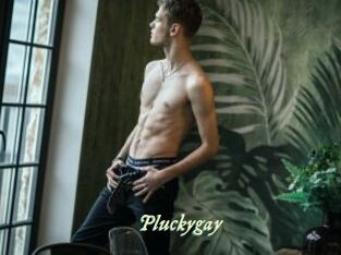 Pluckygay
