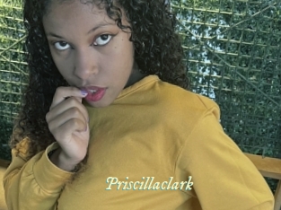 Priscillaclark
