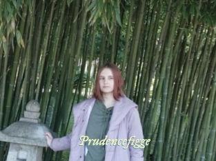 Prudencefigge