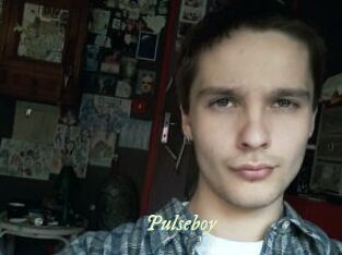 Pulseboy