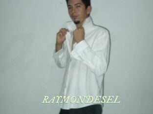 RAYMONDESEL