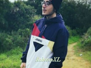 RabocopXL Année du sexe