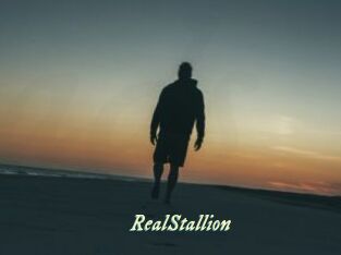 RealStallion
