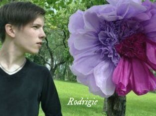 Rodrigie