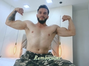 rambocolins Année du sexe