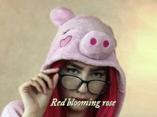 Red_blooming_rose