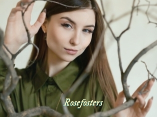 rosefosters Année du sexe