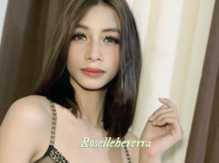 rosellehererra Année du sexe