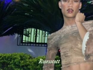 rosesscott Année du sexe