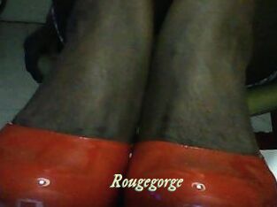 Rougegorge