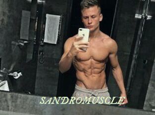 SANDRO_MUSCLE