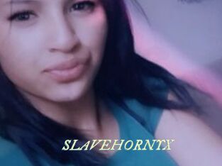 SLAVEHORNYX Année du sexe