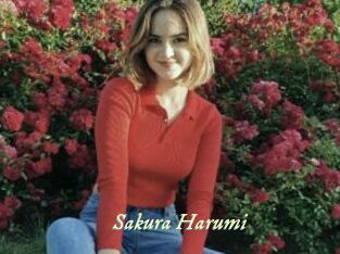 Sakura_Harumi