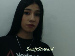 SandySteward