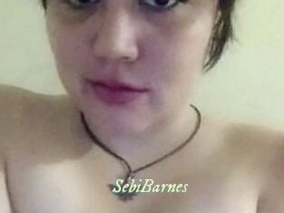 Sebi_Barnes