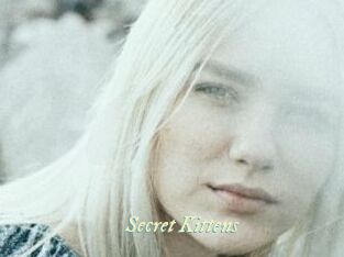 Secret_Kittens Année du sexe