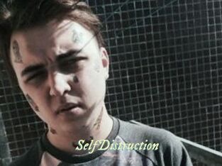 SelfDistruction