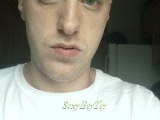 SexyBoyToy