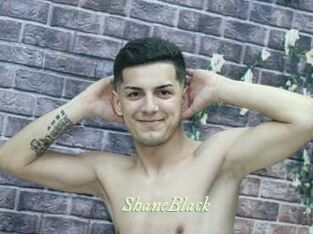 ShaneBlack