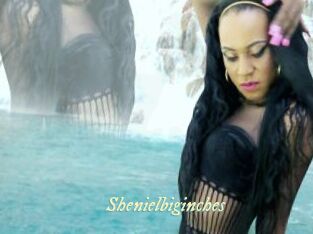 Shenielbiginches