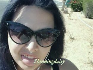Shinningdaisy