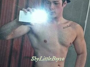 ShyLittleBoy20