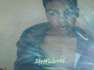 SkyWalker88