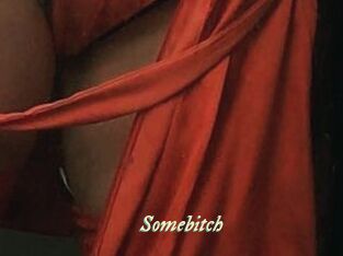 Somebitch